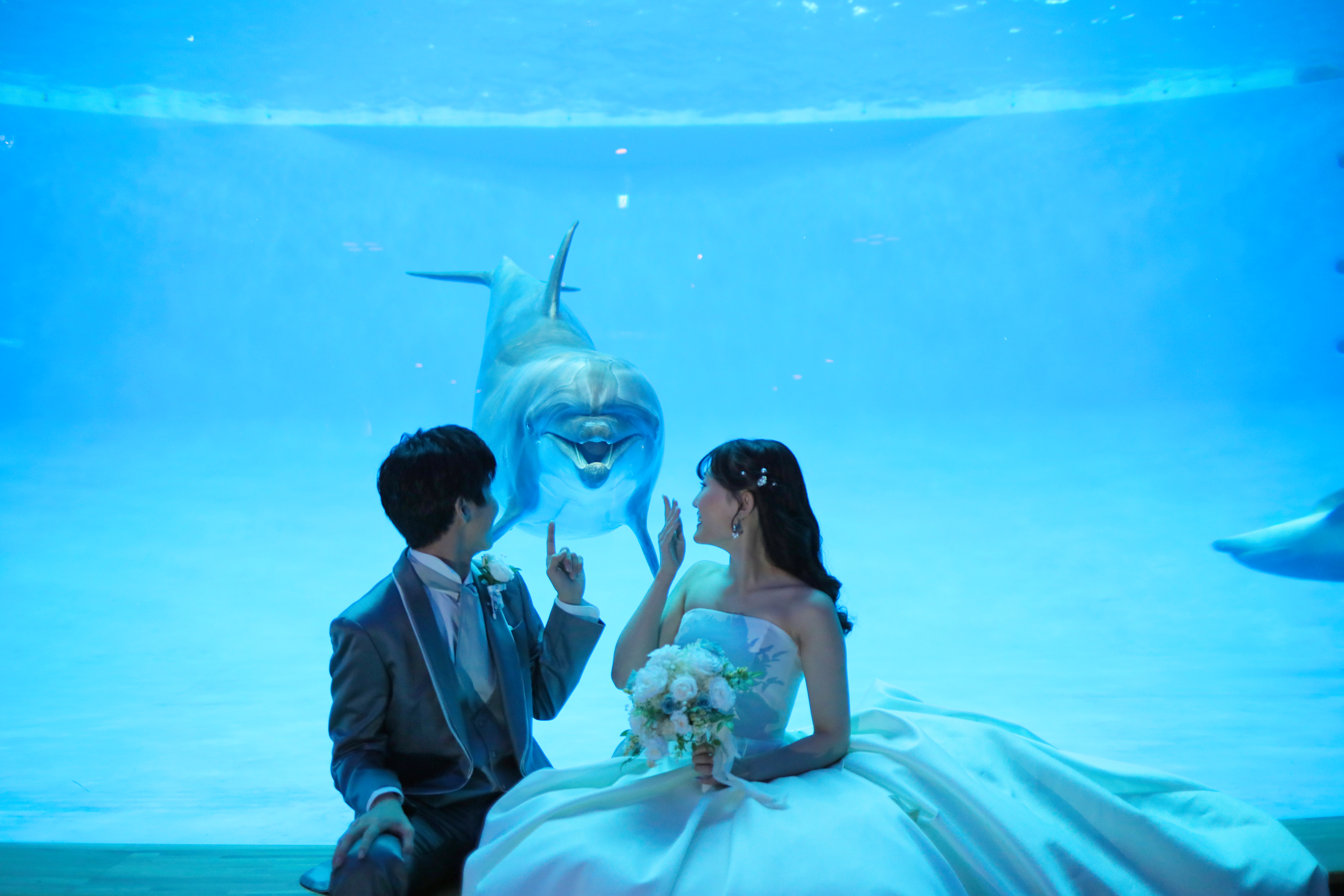 Point1 多彩な撮影シーン