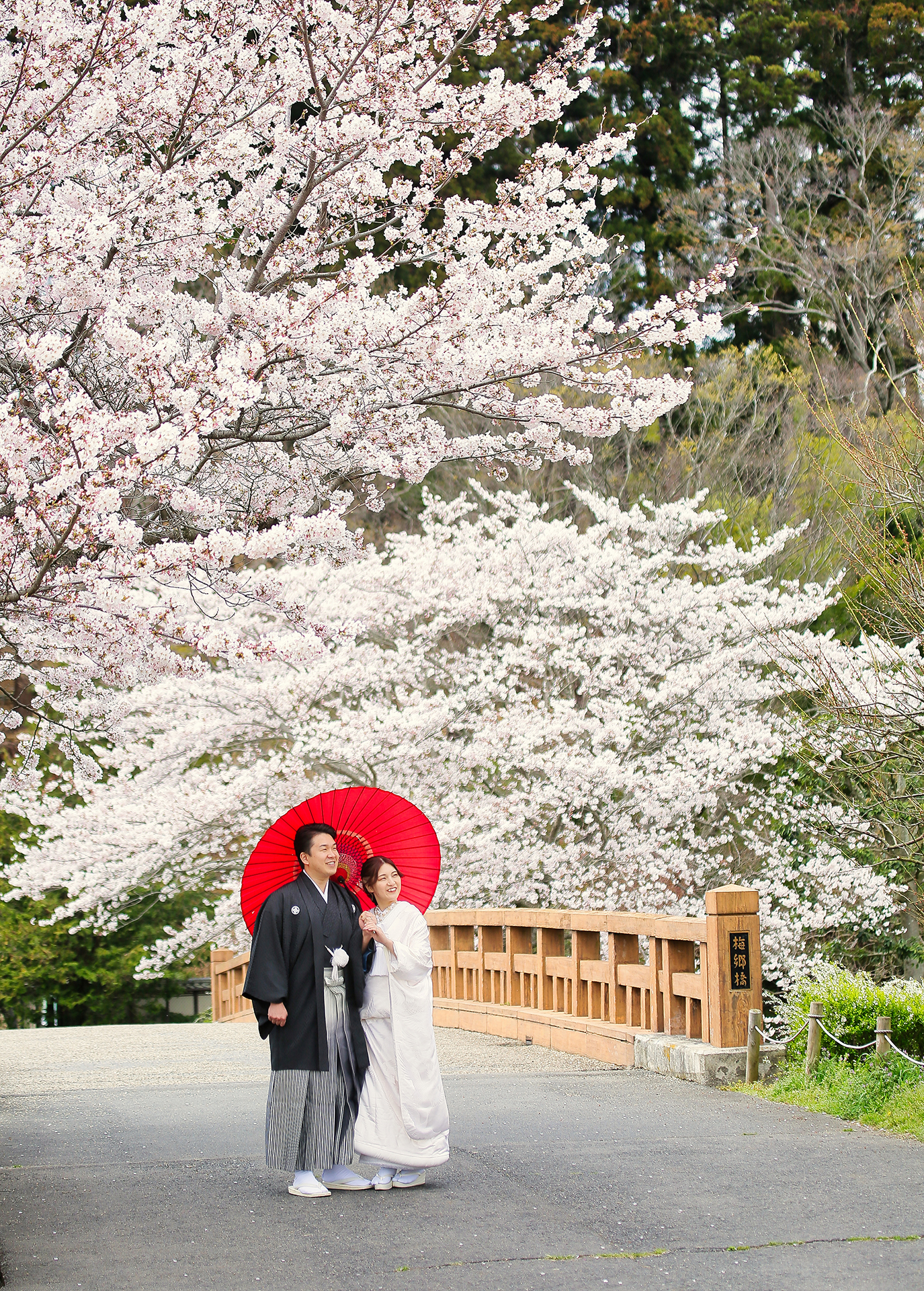 20以上ある撮影シーン