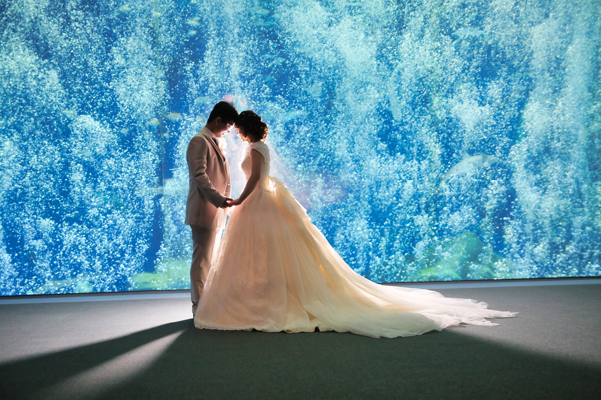 Point1 多彩な撮影シーン