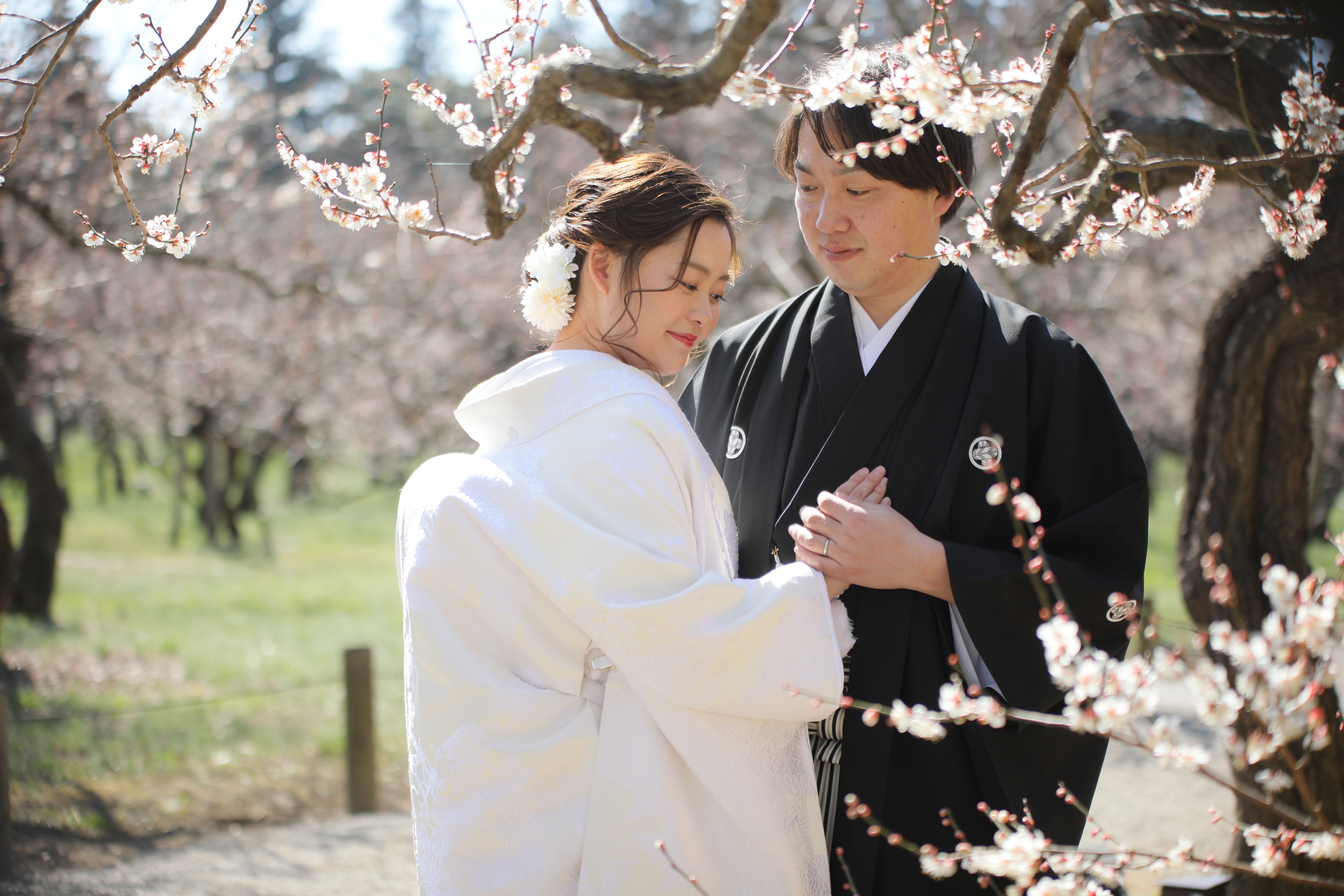 Point1 多彩な撮影シーン