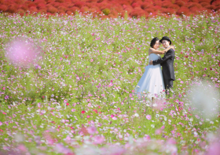 ウェディングハウス ル・シフォン