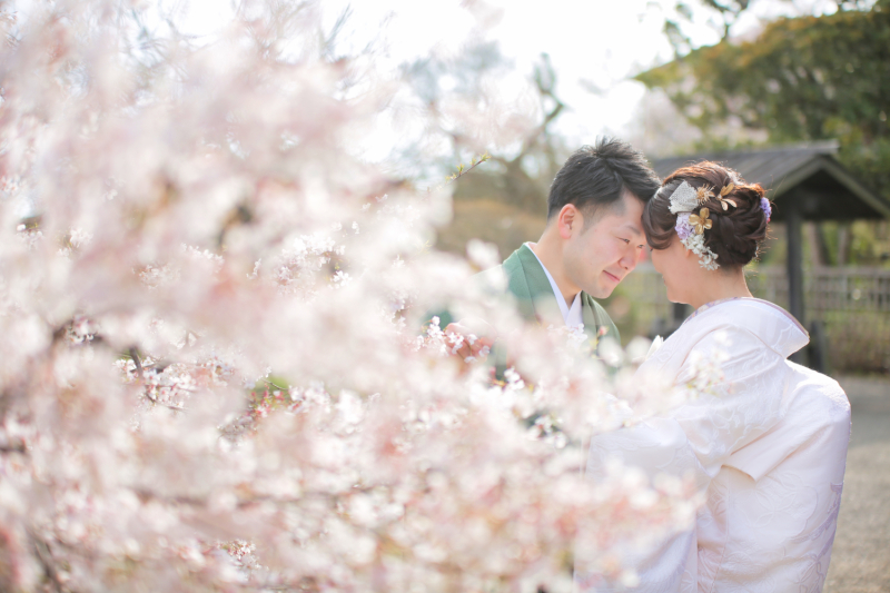 【梅・桜】和装ロケーション撮影プラン データ120c&おしゃれなフレーム付き