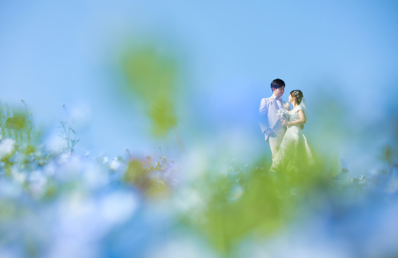 ☆春を満喫･絶景地でフォトウェディング♪♪　ネモフィラロケーションプラン・洋装【お問合せ続々！】修整データ120ｃ付