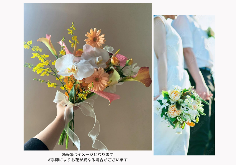 20以上ある撮影シーン