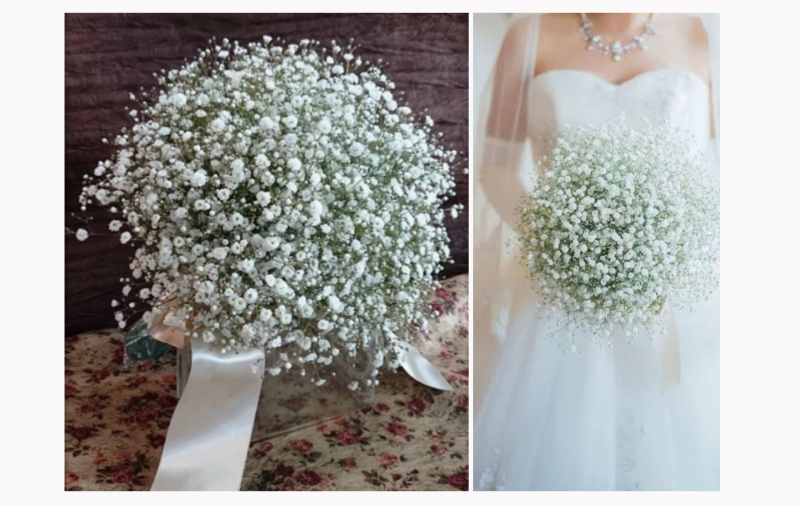 20以上ある撮影シーン