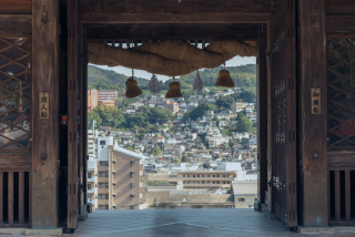 【諏訪神社　和装】～長崎の歴史ある神社で撮影～◎全データ色味編集付２００カット納品　※奉納料・移動費込み