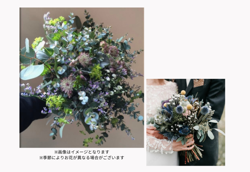 「-ORANDAYA-」コラボプラン！《洋装ロケーション》