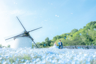 ネモフィラ　　　　　　　　　　　　　　　　　一番綺麗なタイミングでそして天気も◎　　　　素敵な1日になりました。