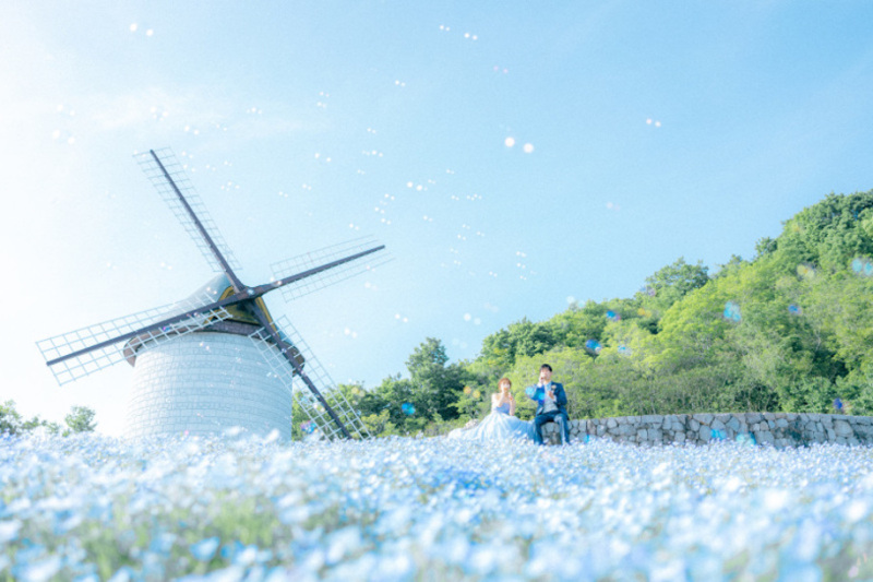 ネモフィラ　　　　　　　　　　　　　　　　　一番綺麗なタイミングでそして天気も◎　　　　素敵な1日になりました。