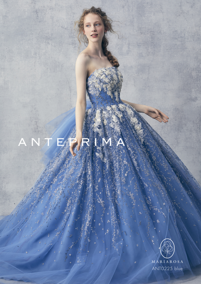 ANTEPRIMA｜DS1000