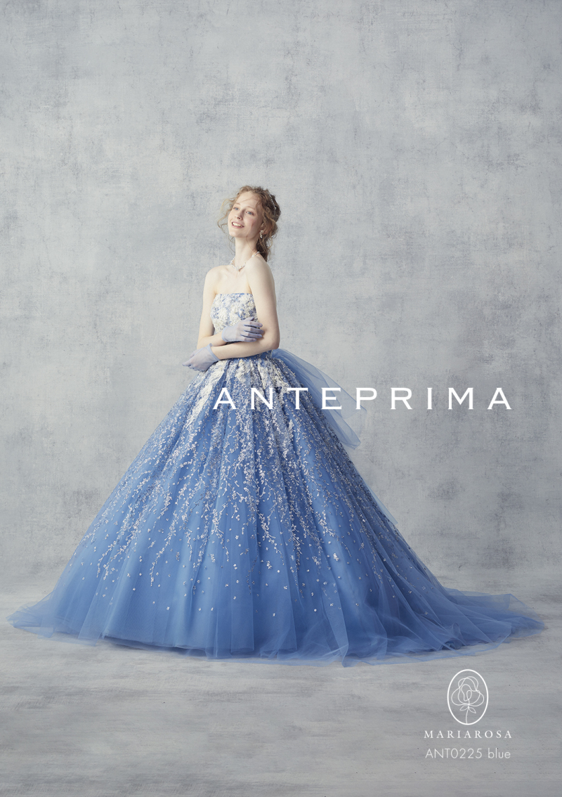 ANTEPRIMA｜DS1000