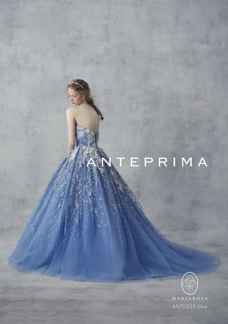 ANTEPRIMA｜DS1000