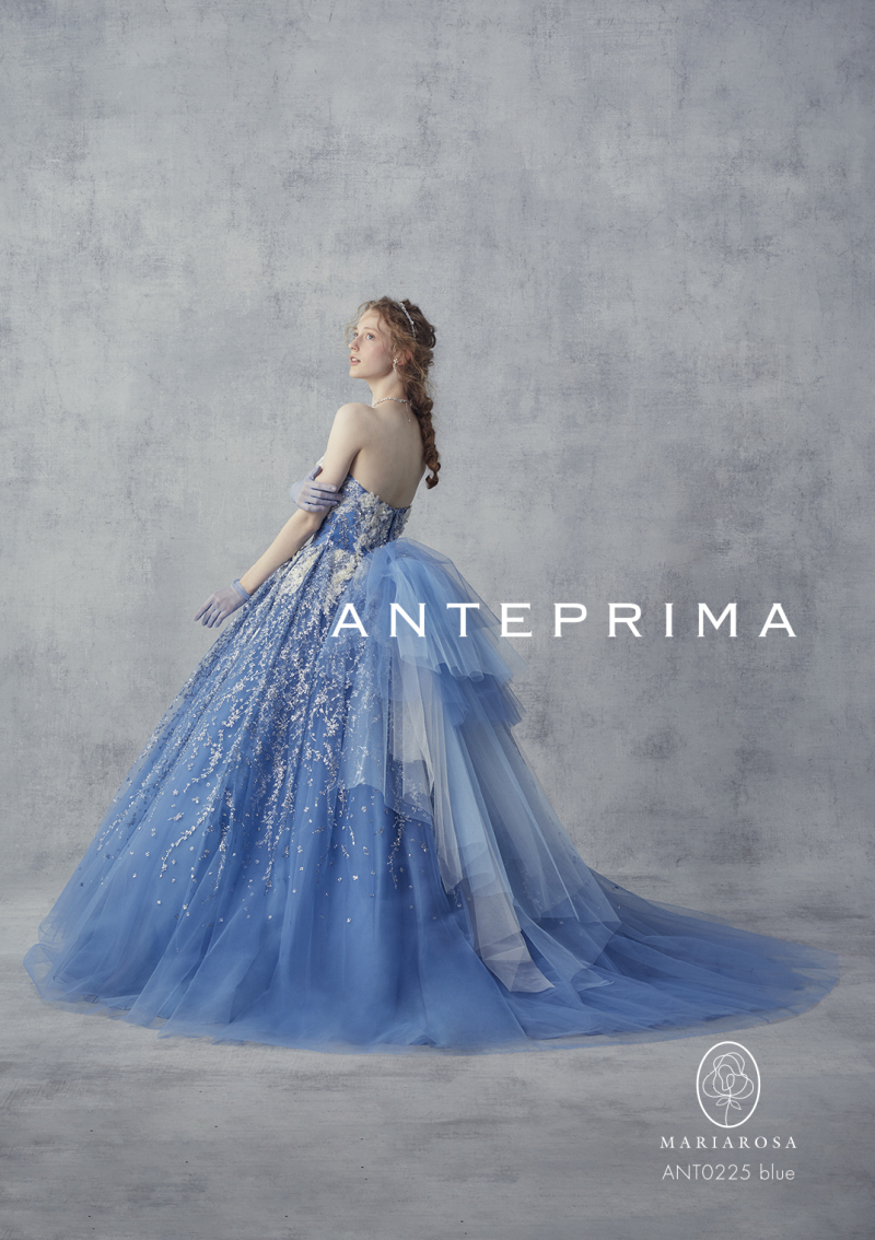 ANTEPRIMA｜DS1000