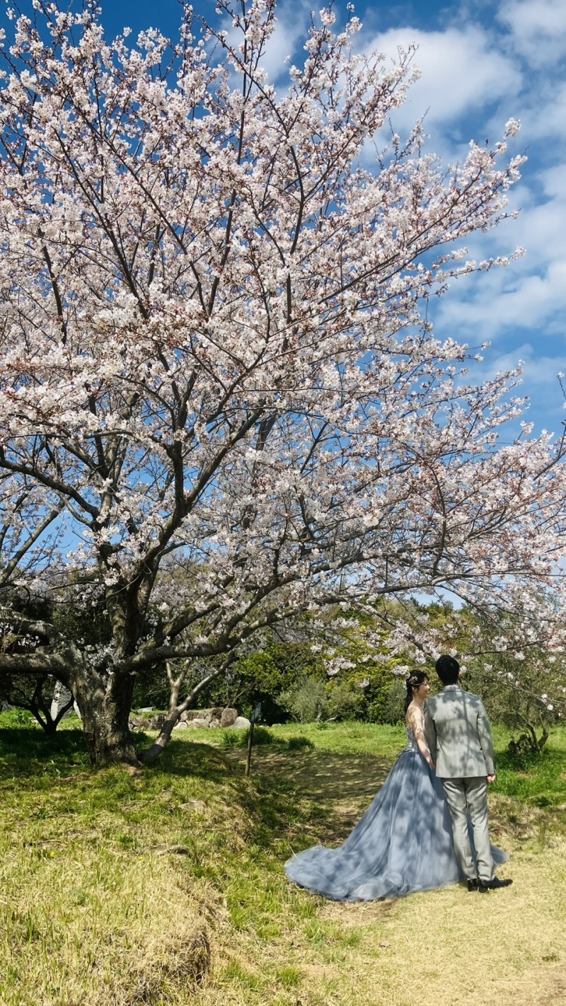 お二人は添えて桜をメインに