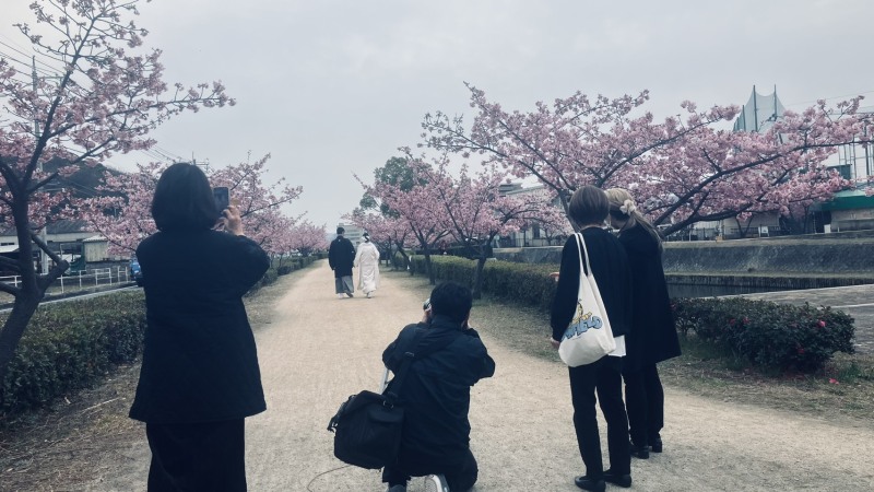 季節を感じる桜並木にて