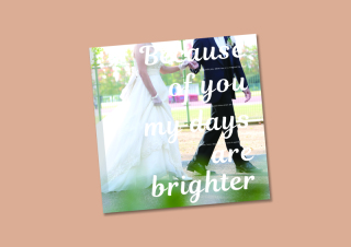 デザインアルバム(カラー)