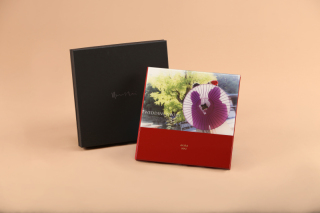 デザインアルバム(漆)