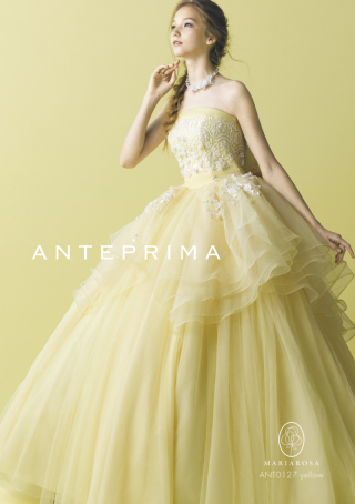 ANTEPRIMA｜RY1046