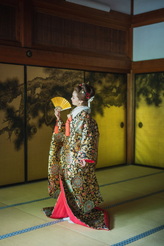 色打掛 1101 彩更紗 アプリコット