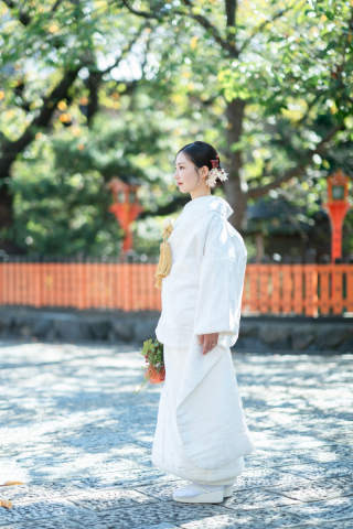 白無垢 1217 　枝垂れ花鶴