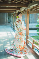 色打掛 1131 草文唐織