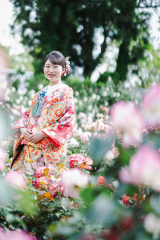 色打掛 1114 鳳凰花唐草 ターコイズ