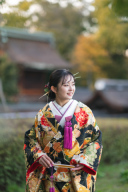 色打掛 1133 手毬松竹梅 紫