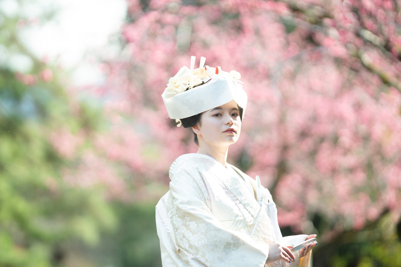 地毛結いの文金高島田