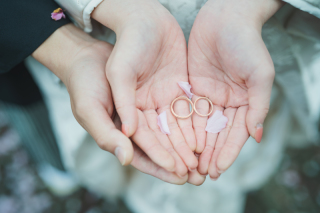 桜の京都 前撮り撮影