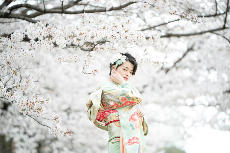 Katakura Photo Office　京都・北山　