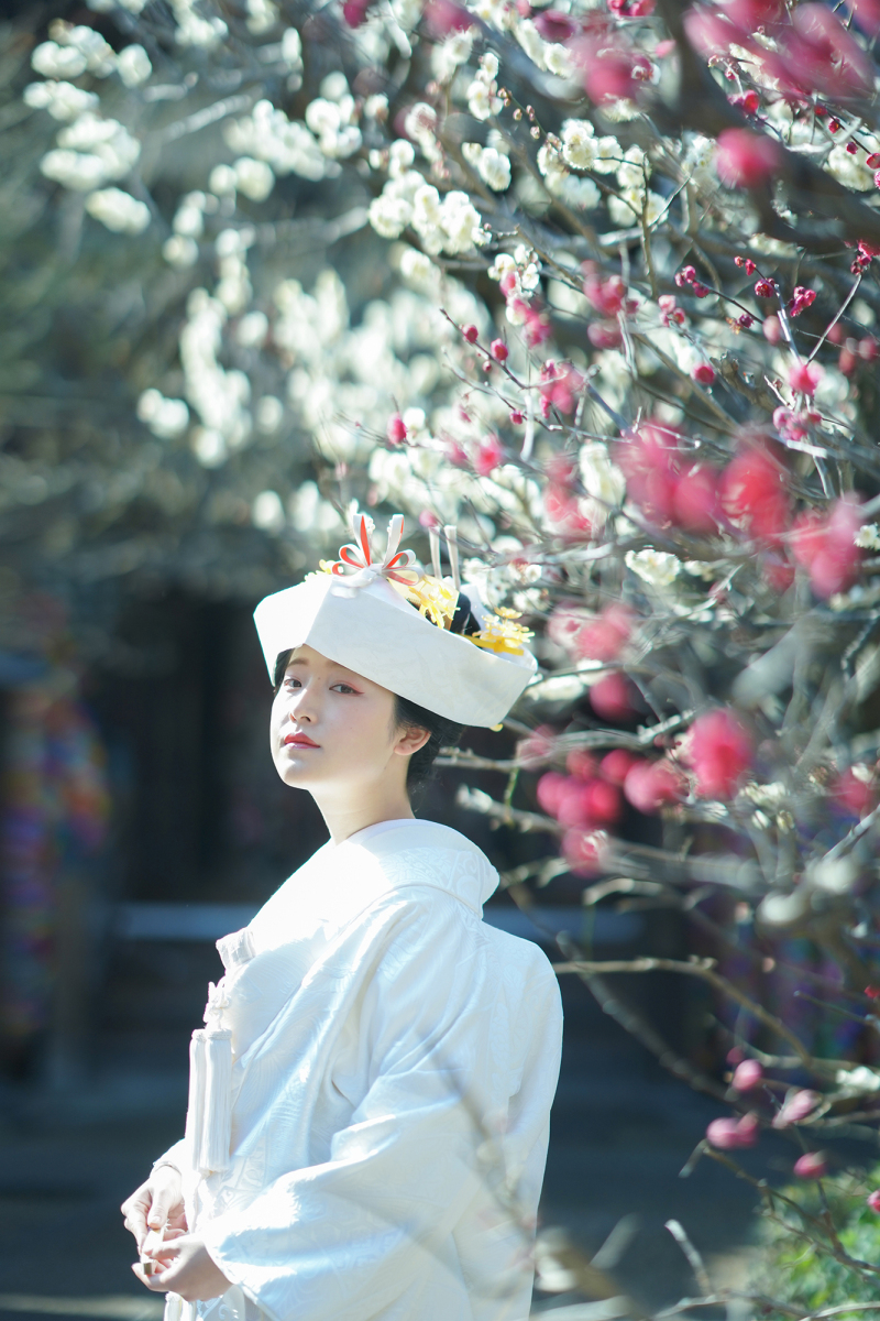 Katakura Photo Office　京都・北山　