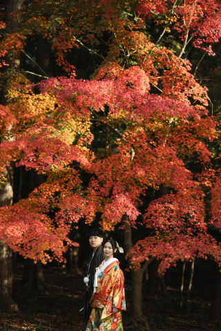 大原野神社　和装1着プラン 