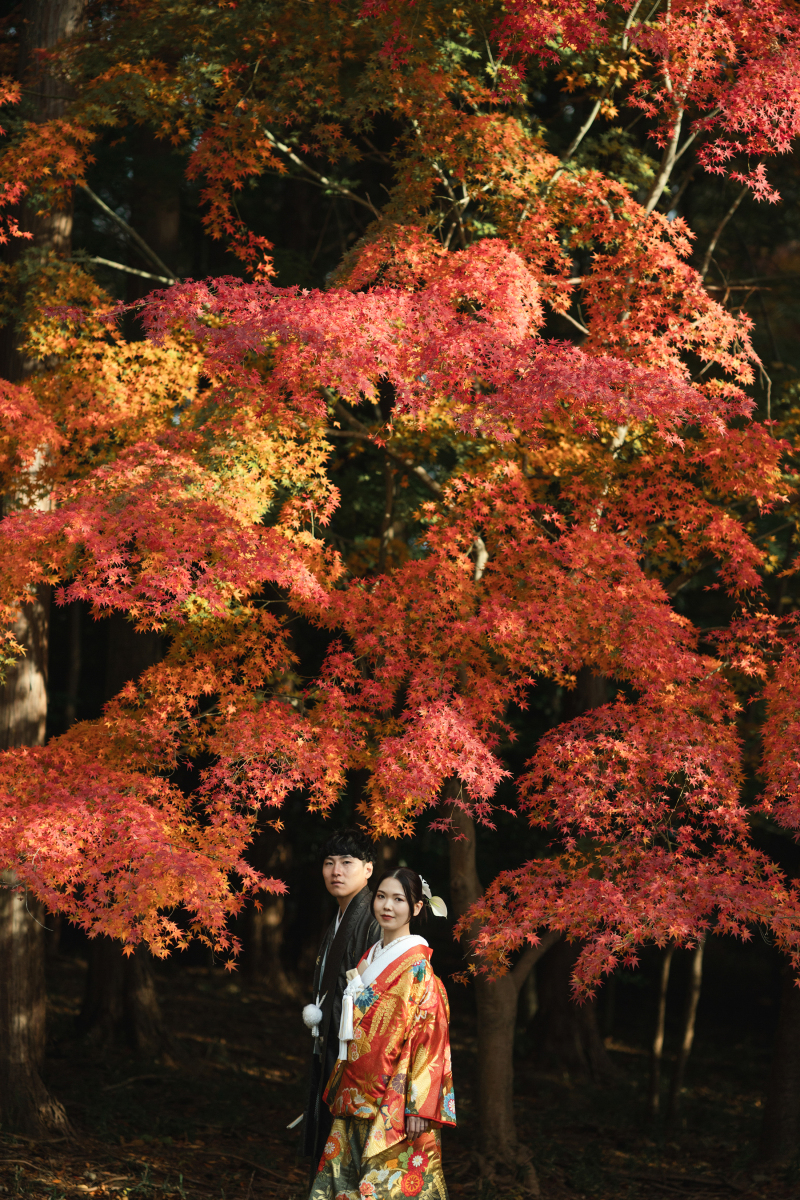 大原野神社　和装1着プラン 