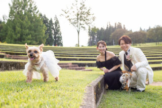 スタジオ マタニティウェディングフォト 画像