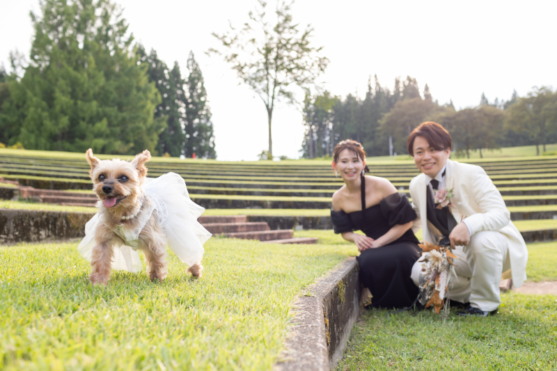 大切なご家族＆わんちゃん撮影