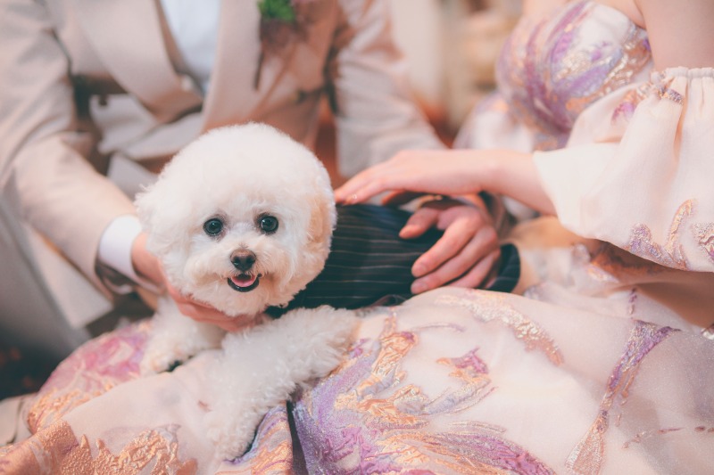 家族との時間も大切にできる