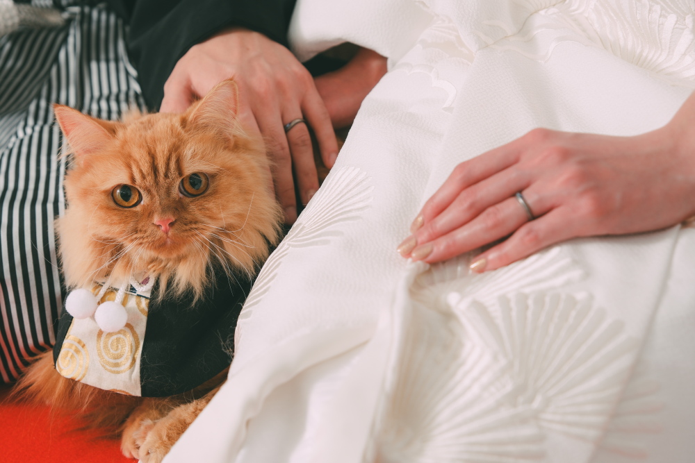 Point1 多彩な撮影シーン