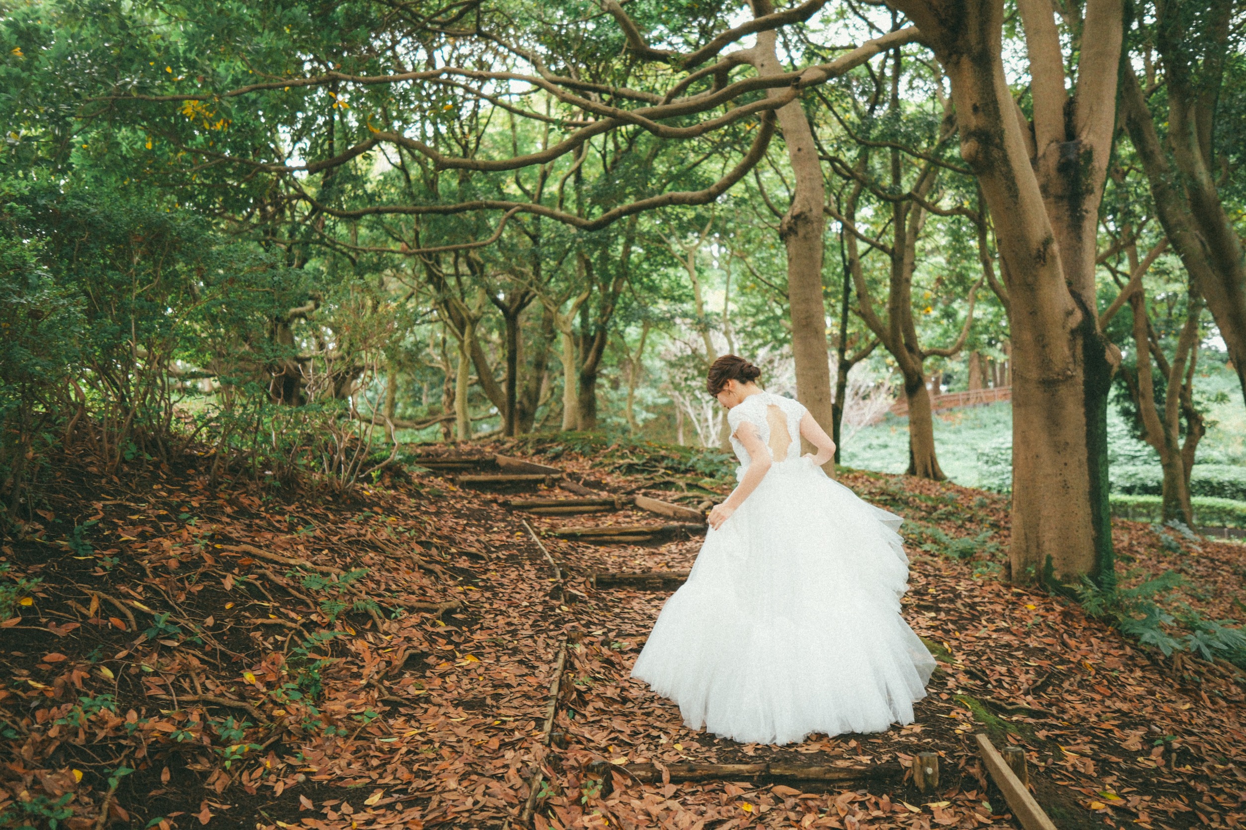 Point1 多彩な撮影シーン