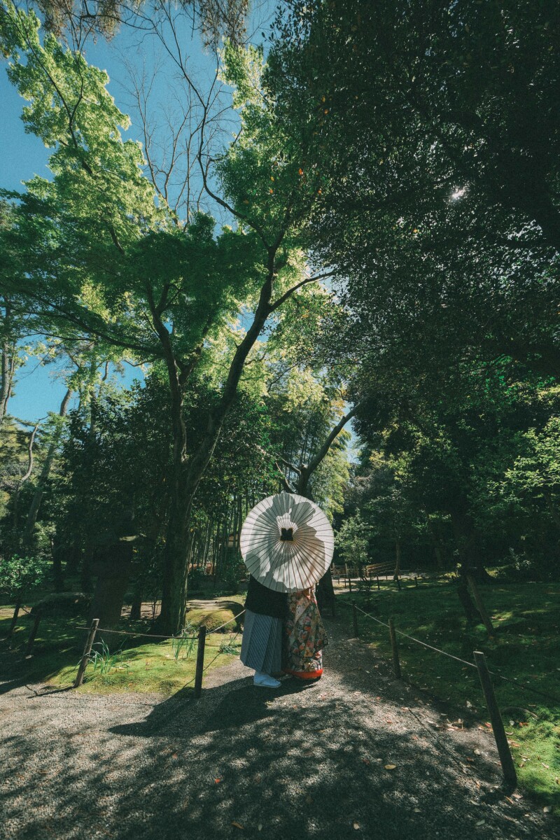 和傘を使ってシルエットで