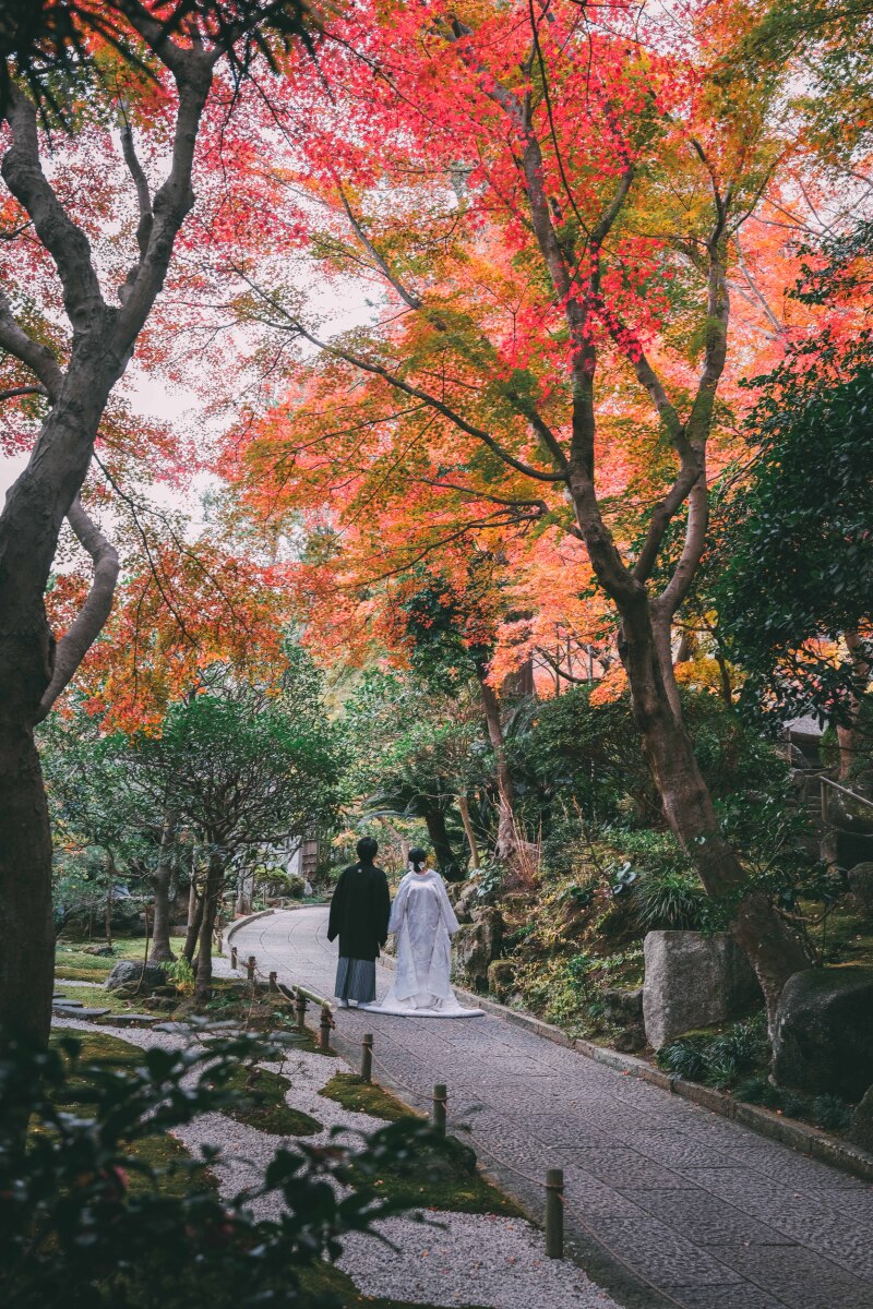 秋の紅葉プラン【報国寺】◎90分撮影ロケ撮影 和装スタジオ付き ロケ150カット+スタジオ50カット納品