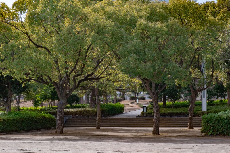 【臨港パーク】◎180分撮影し放題◎全データ色補正付200カット納品・申請代行+申請料金込み・新婦様ヘアメイク付き