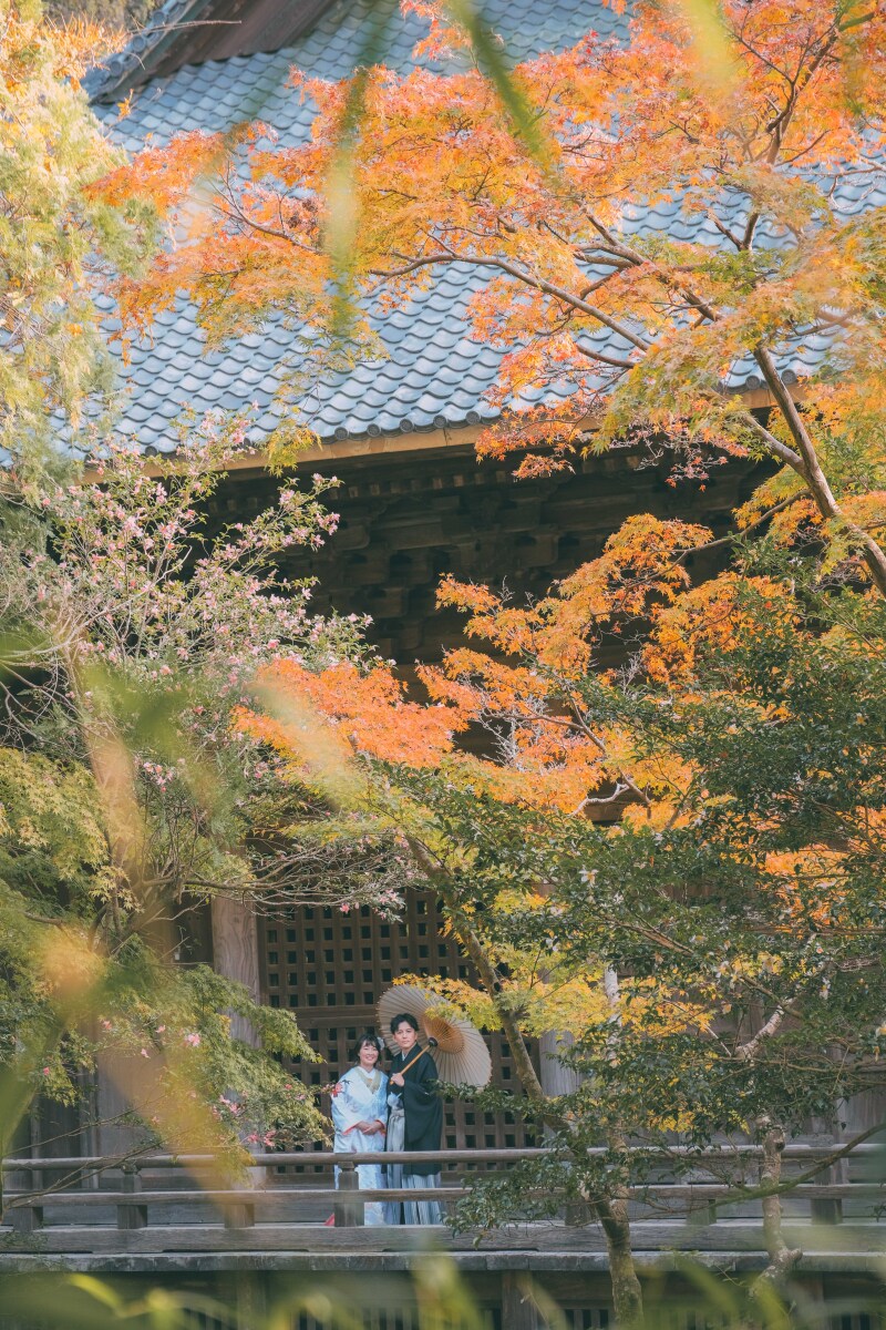 秋の紅葉プラン【妙本寺】鎌倉ロケーション和装撮影 ◎和装スタジオ付き ロケ100カット+スタジオ50カット納品