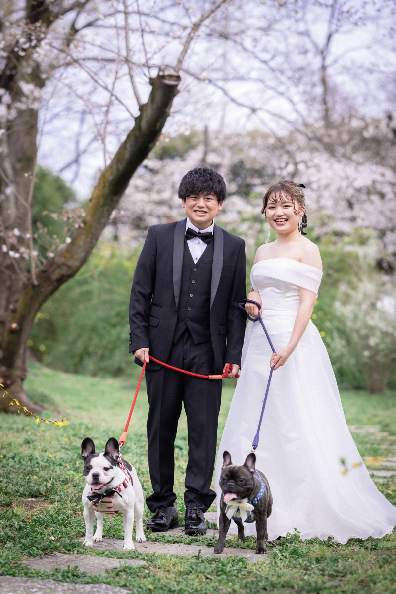 大切な家族のペットと叶える桜フォト