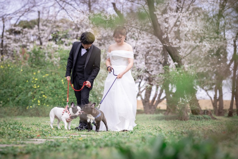 ARTS atelier（アーツアトリエ）_ペットと一緒に撮影できる