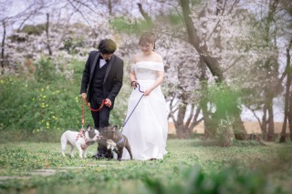 家族である大切なペットとの写真も叶う