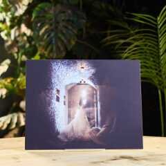 【ロケーション撮影用】ラージアルバム（20P）