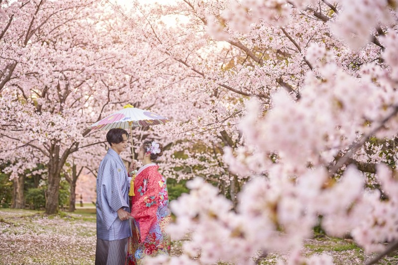 多彩な撮影プラン