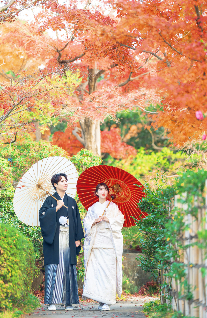 全体のお色味をより鮮明に