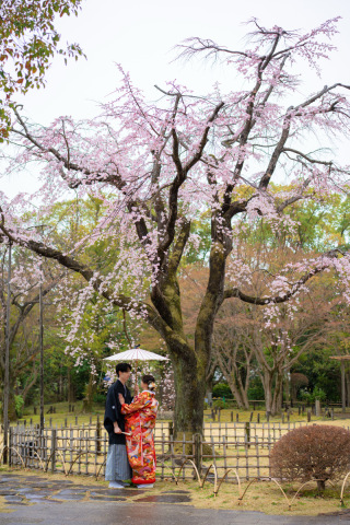 ATREN DEU PHOTO_桜和装