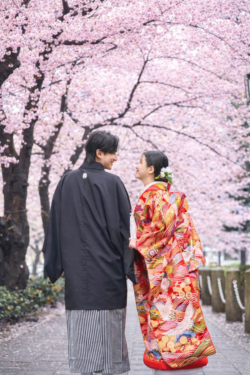 桜に包まれる、後ろ姿のワンシーン